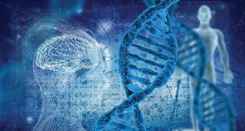 The FOXP3 Gene and the Eternal Principle of Balance