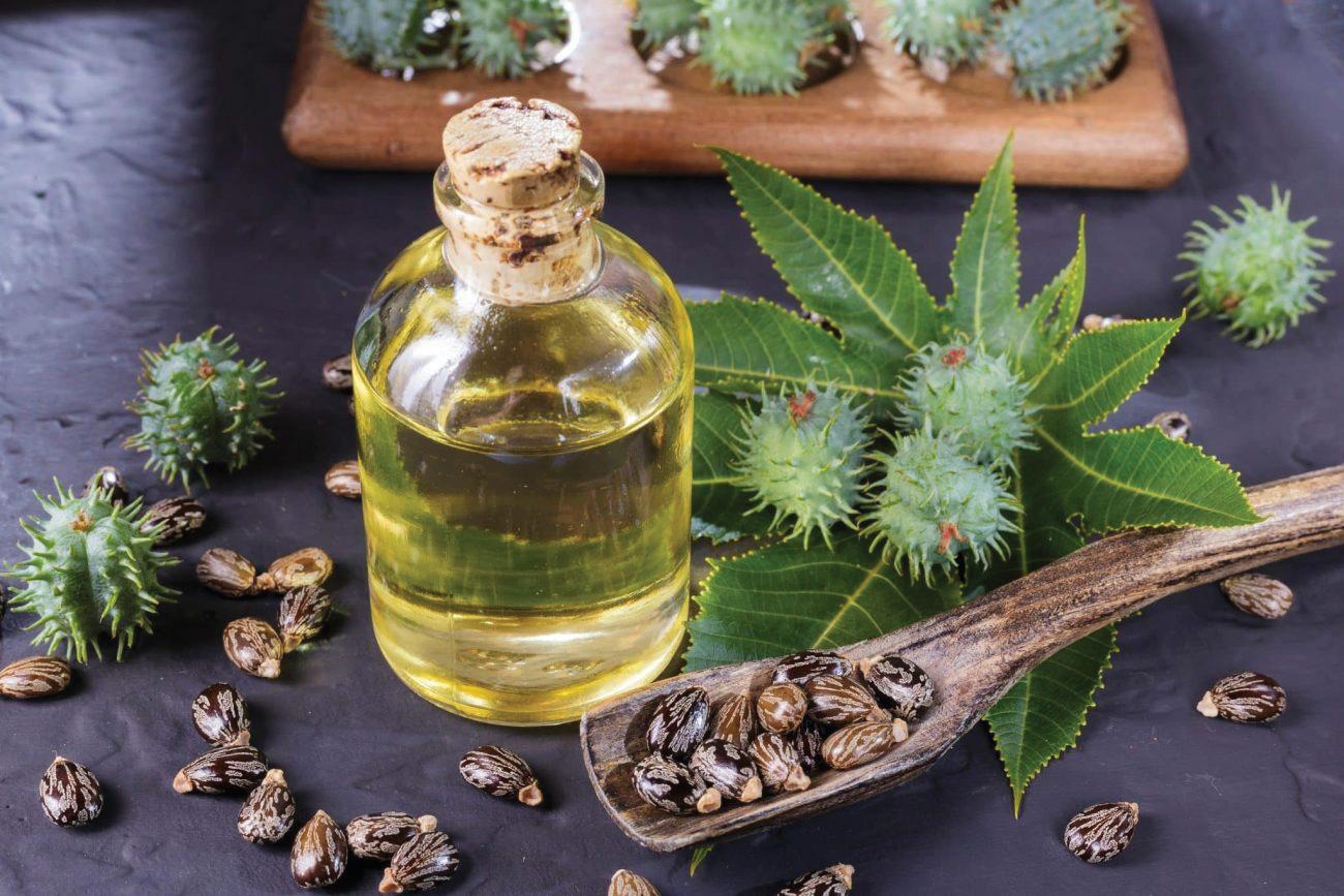 CASTOR OIL: LIQUID GOLD FOR YOUR SKIN, HAIR, AND HEALTH