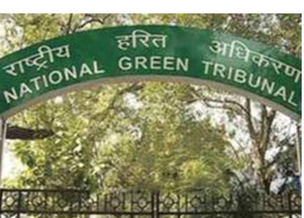 NGT Directs Action to Protect Forest Land in South Delhi