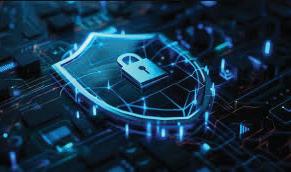 Govt issues phased rollout of Digital Data Protection Rules