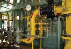 Energy markets brace for volatility as sanctions drive up reliance on US LNG: Oxford Report