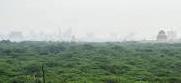 Delhi grants full legal protection to Southern Ridge forest