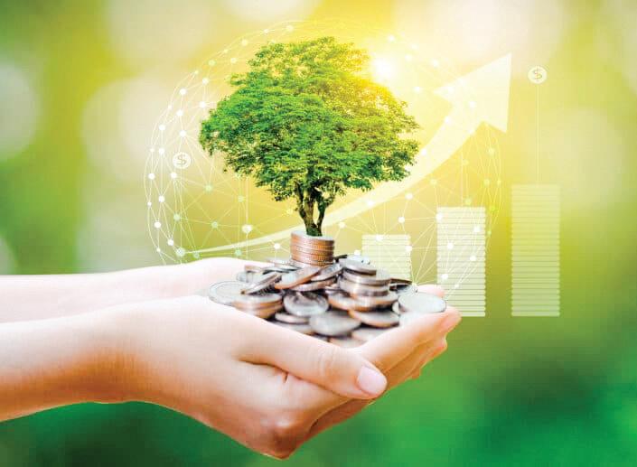 Louder than claims, quieter than truth: India's greenwashing-greenhushing dilemma