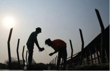 CENTRE USHERS REFORMS, IMPLEMENTS 4 LABOUR CODES TO PROVIDE SOCIAL SECURITY TO ALL WORKERS