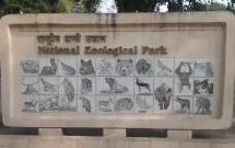 Jackals slip out of enclosure at Delhi zoo, search underway