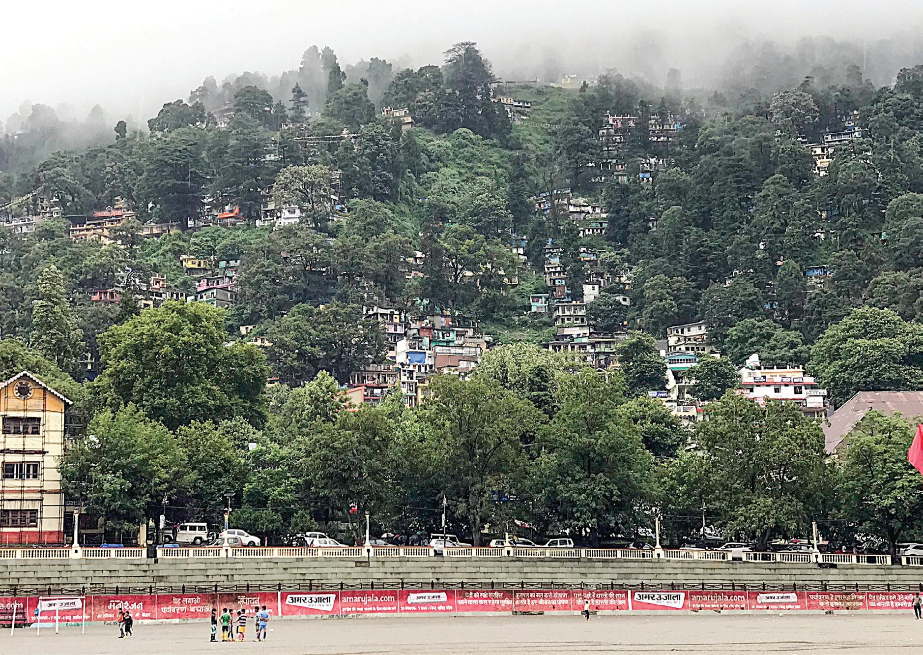 Grime, grub and the great forgetting