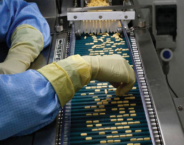 India’s pharma sector emerging as global generics powerhouse, need to scale AI usage beyond R&D: Report