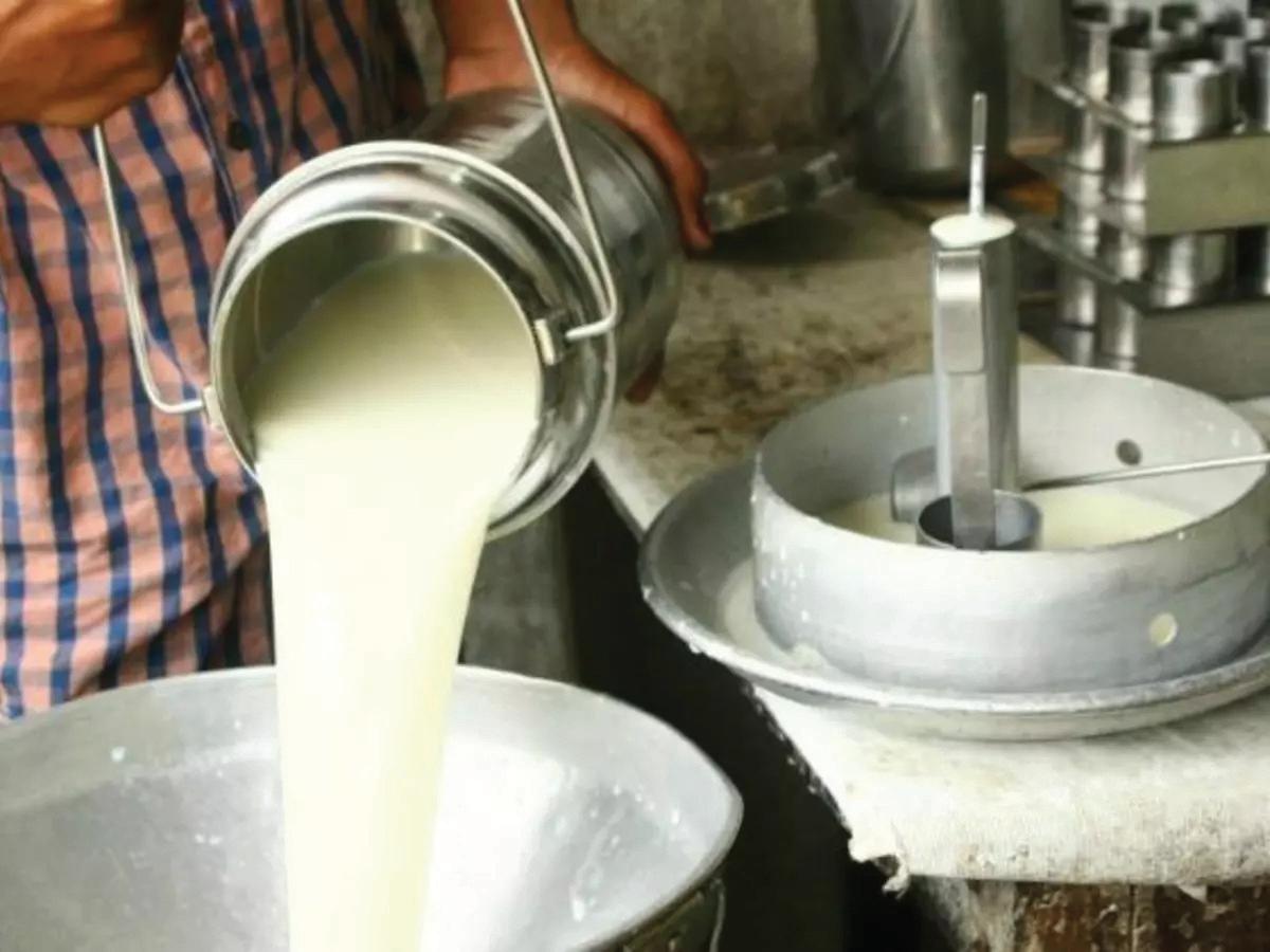 Rajasthan's Milk Revolution: Expanding potential, empowered farmers, and a transforming rural landscape