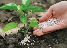 India positioned for Global Edge in Nano-Fertilisers