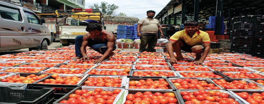 Wholesale inflation remains in negative territory at -0.32% in Nov