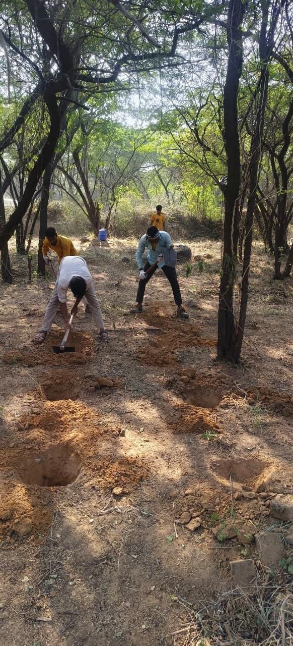 Volvo Car India to plant 20,000+ trees across 20 acres of Aravalli Range in Gurugram as part of Reverse Project