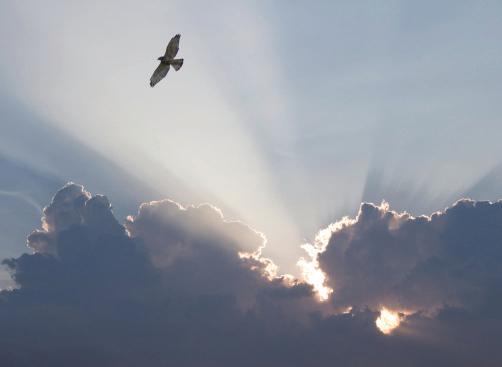 WHATEVER HAPPENS IS FOR GOOD: EMBRACING LIFE WITH FAITH