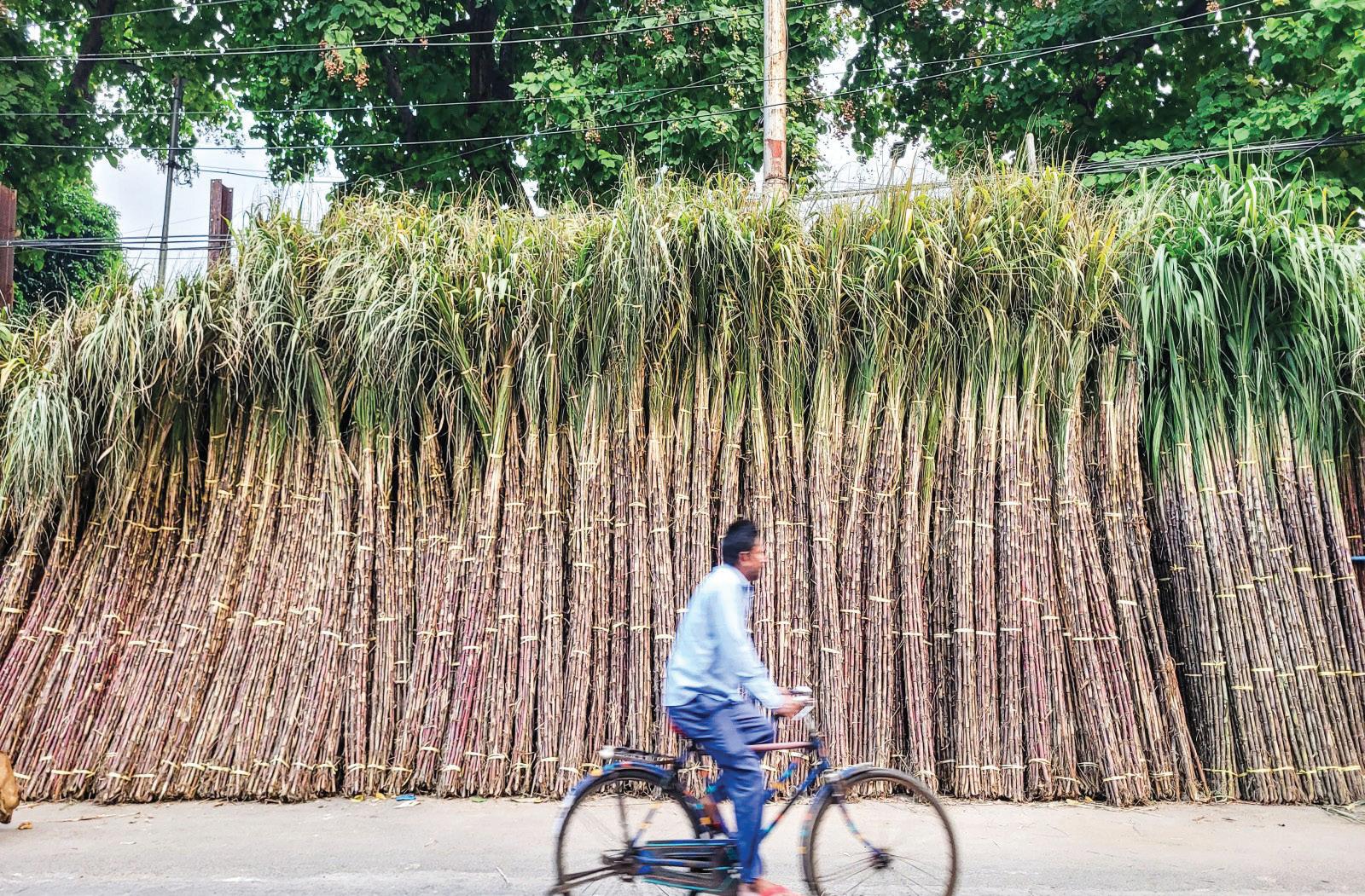 ISMA SEEKS HIGHER SUGAR MINIMUM SELLING PRICE TO SAFEGUARD FINANCIAL HEALTH OF SUGAR FARMERS