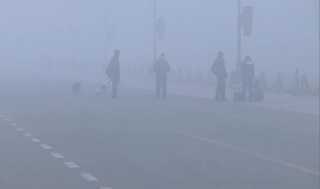 Delhi’s haze and policy maze: Why our air emergency is also a governance failure