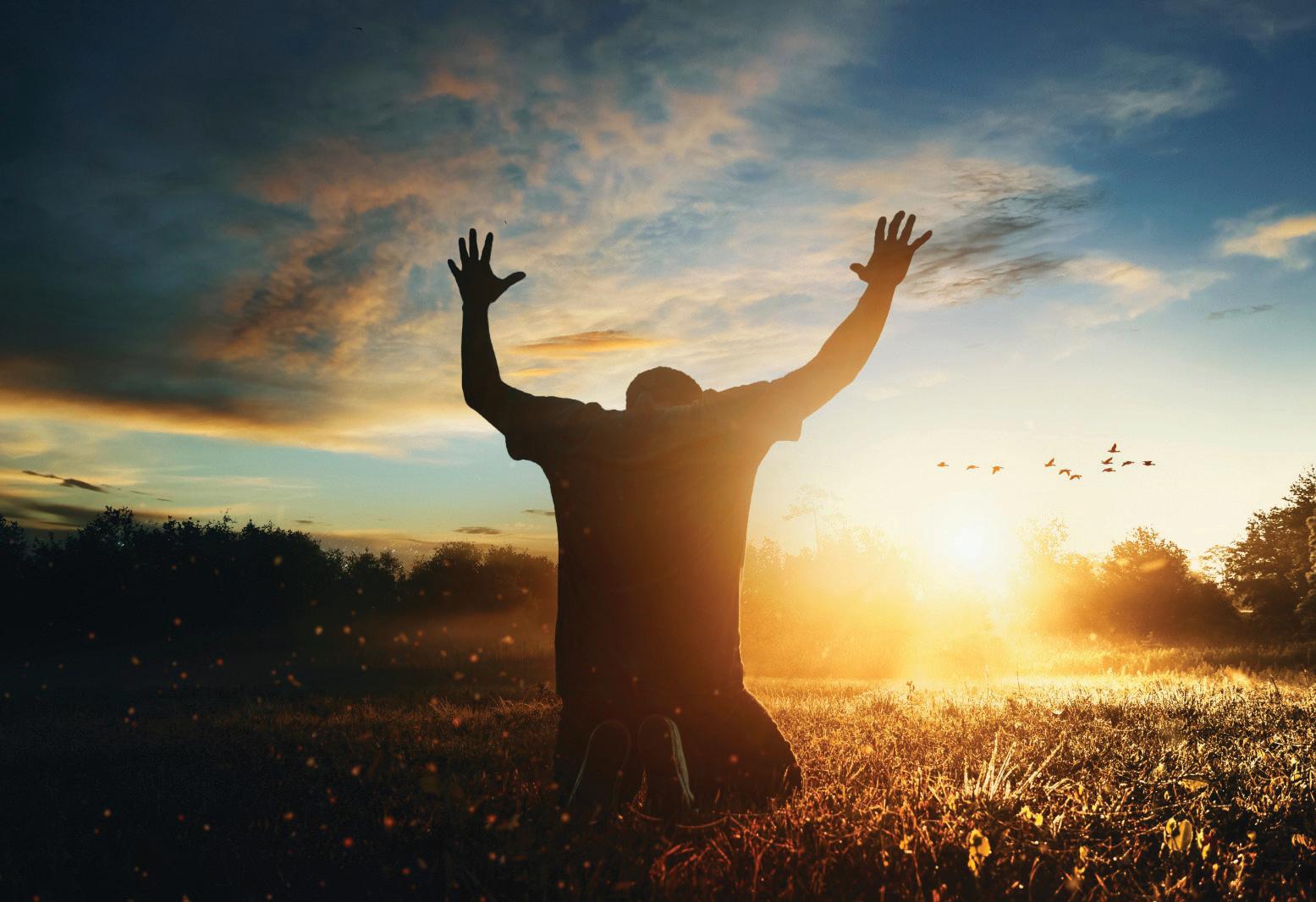Surrender and Spirituality: The path to inner freedom