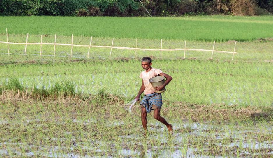 ICRA projects fertiliser subsidy outlay at Rs 1.9 lakh crore for FY27