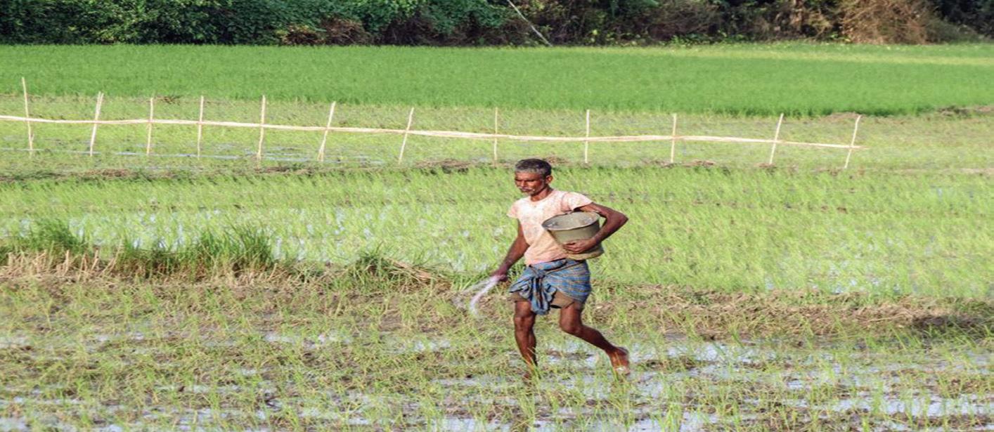 Govt reinforces regulatory measures to ensure fair pricing