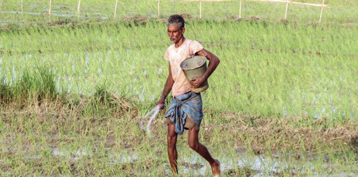 73% of India's fertiliser needs in 2025 met through domestic production