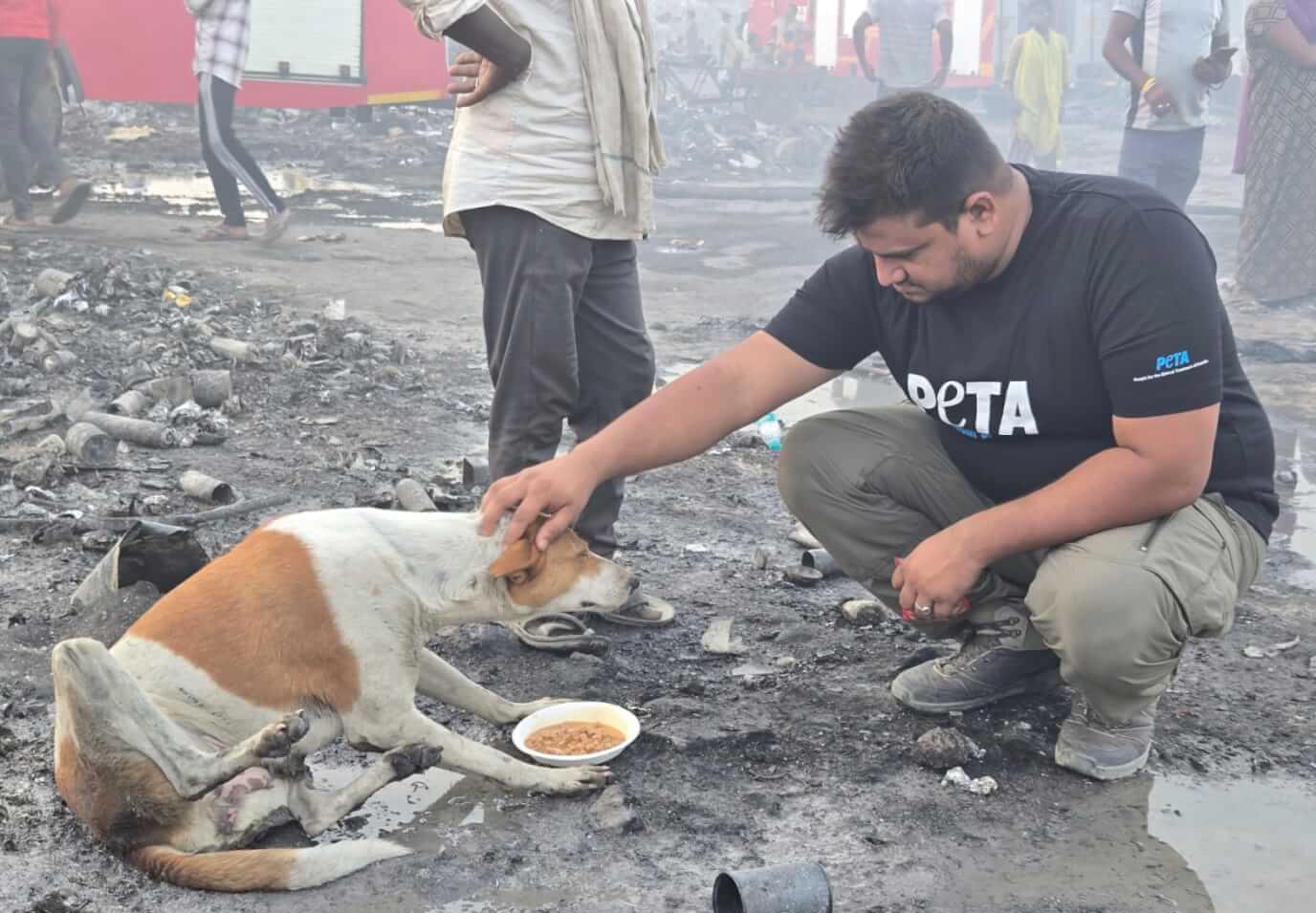 PETA rescues animals after Ghaziabad blaze
