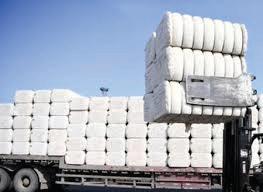 STUDY FLAGS COTTON DUTY IMPACT ON TEXTILE SECTOR
