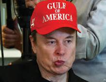 US judge will not rubber stamp Musk SEC deal