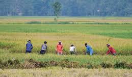 Women-led growth can boost GDP by 2-3%: Puri