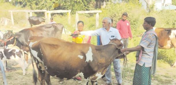 ఉచిత పశు వైద్యసేవలు