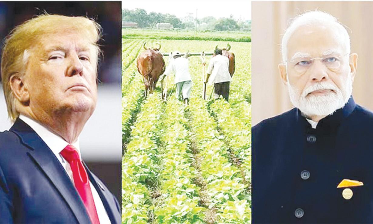 భారత రైతులపై ట్రంప్ కత్తి