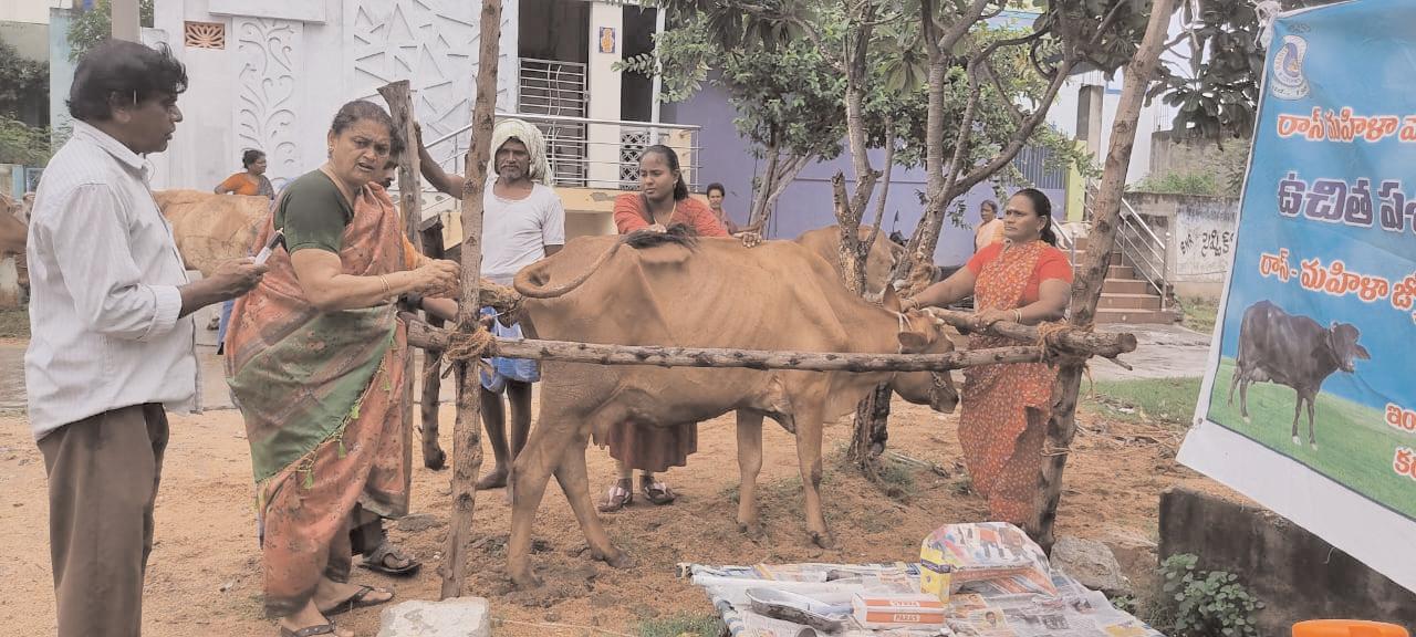 రాస్ ద్వారా ఉచిత మెగా “పశు”వైద్యశిబిరం