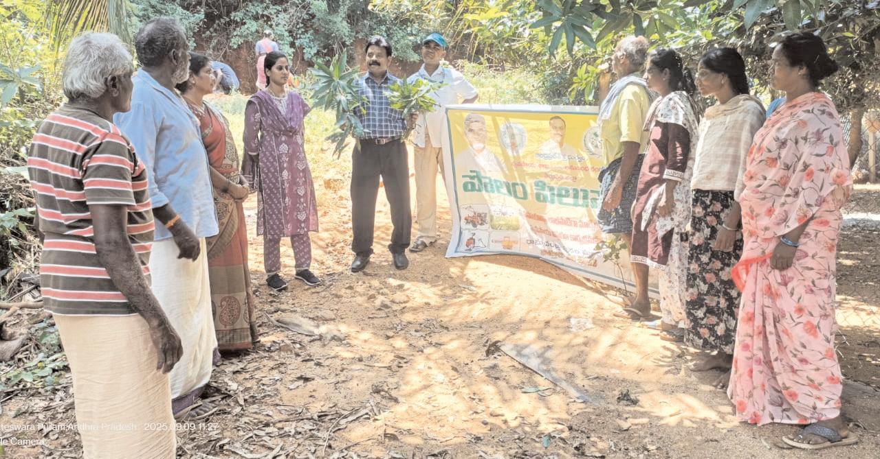 సేంద్రియ ఎరువులతో భూమి ఆరోగ్యంను కాపాడుకుందాం