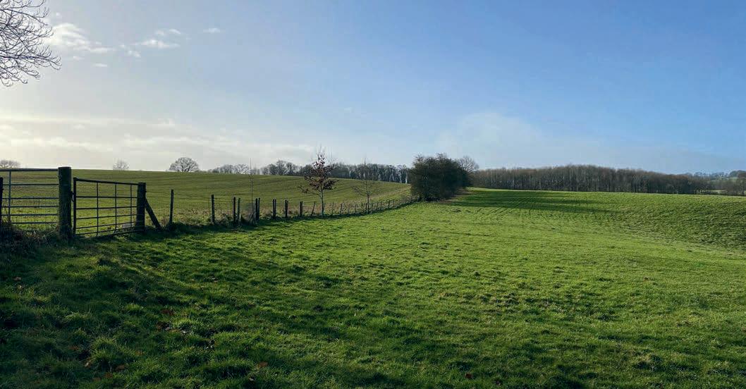 View form a farmer's daughter and smallholder on inheritance and land