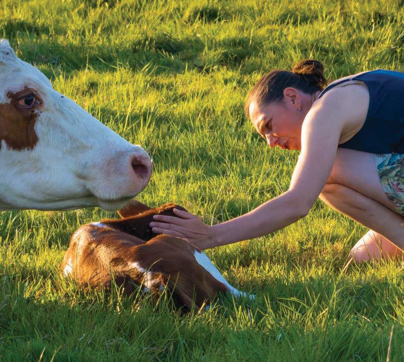 Babbinswood Organic Farm seeks community ownership