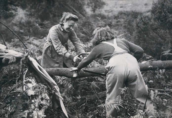 VE Day plaque to honour Women's Land Army and Timber Corps