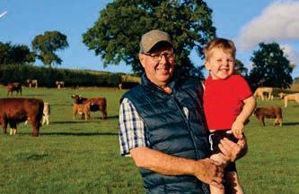 Bordering on the perfect sheep breed...