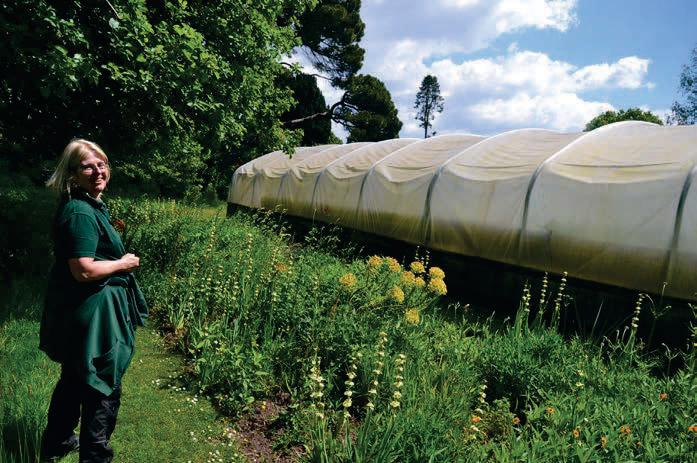 Growing Space for people and for gardens