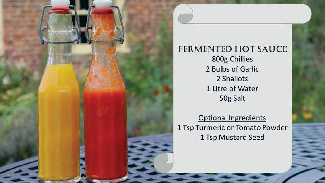 Discovering fermented sauces