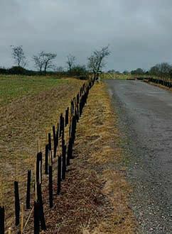 Ready; Get Set; PLANT! – it's the beginning of a seasonal goodwill to plants