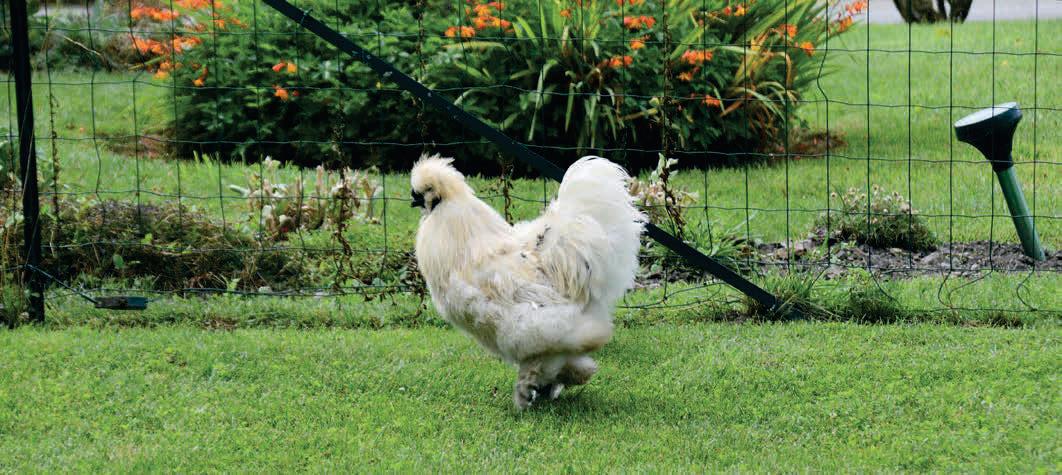 Natural Pest Control Agents