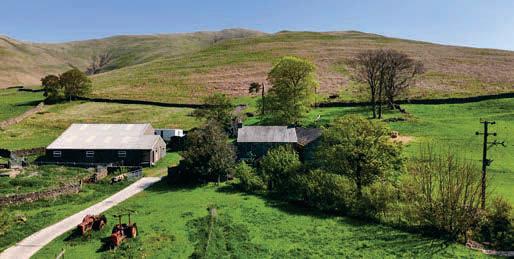 Whins Farm - new tenancy opportunity in Cumbria
