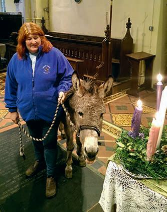 Donkeys are not just for Christmas but all year round in some countries' industries