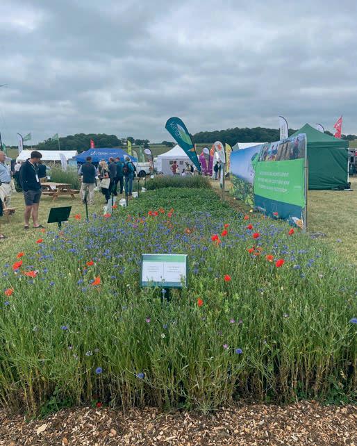 Where next for Britain's smallholding and farming communities as we look to 2026 and beyond