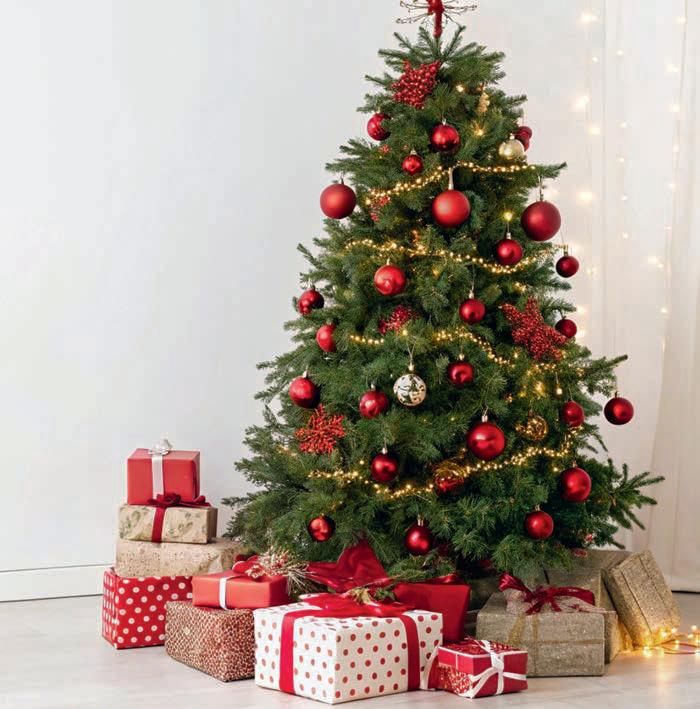 Give your family and friends the perfect present from our gift guide