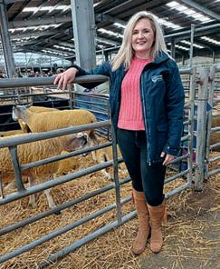 Livestock insurance cover revamped ahead of Pedigree Sales season