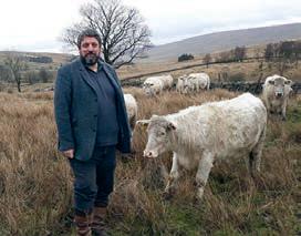 Native breed produce at Christmas