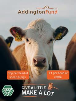 "Give a Little, Make a Lot” says Addington Fund
