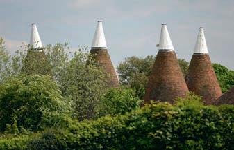Inspiration for smallholders in the Garden of England