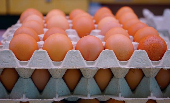 How and why eggs vary in size