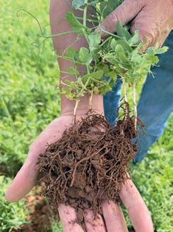 2026 Soil Farmer of the Year competition opens for entries