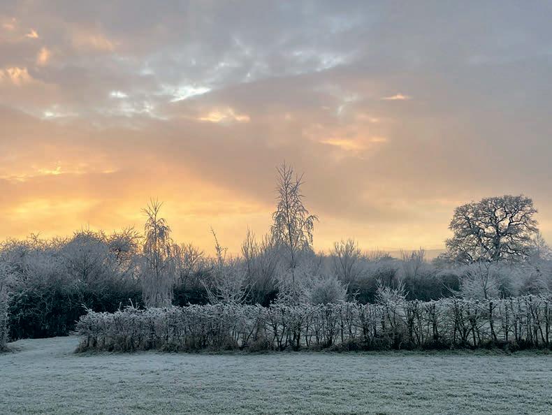Farming thoughts as the smallholding carries on