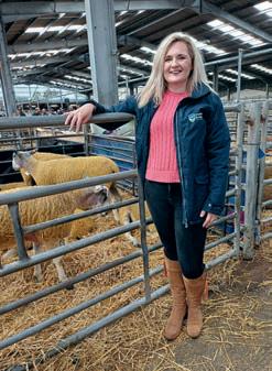 Insurance to protect livestock - and your peace of mind